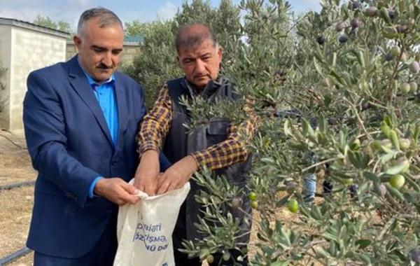 Nazirlik media ilə birgə yeni layihəyə start verdi - FOTO