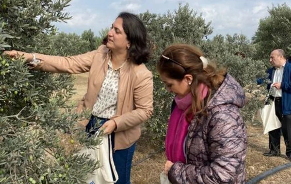 Nazirlik media ilə birgə yeni layihəyə start verdi - FOTO