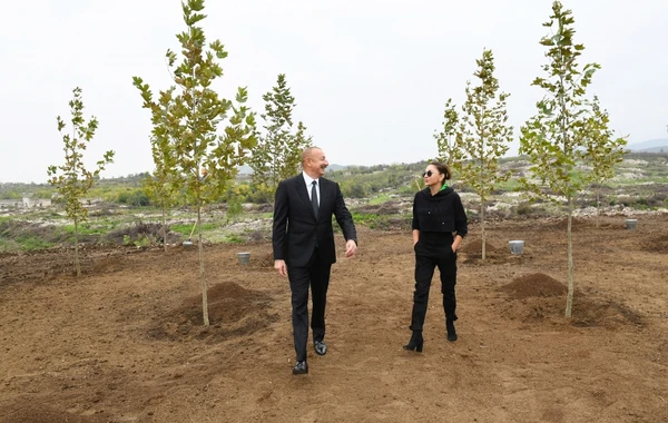 İlham Əliyev və Mehriban Əliyeva Füzulidə ağac əkiblər - FOTO