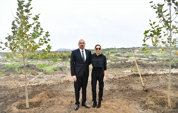 İlham Əliyev və Mehriban Əliyeva Füzulidə ağac əkiblər - FOTO