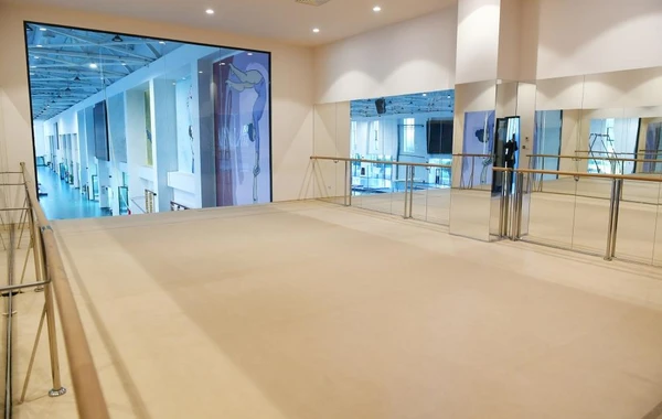 Prezident Milli Gimnastika Arenasının yeni məşq binasında yaradılan şəraitlə tanış olub - FOTO