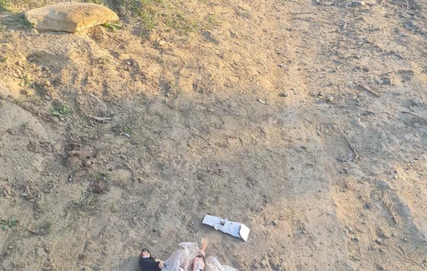 В Азербайджане на обочине дороги нашли "джаду" - ФОТО