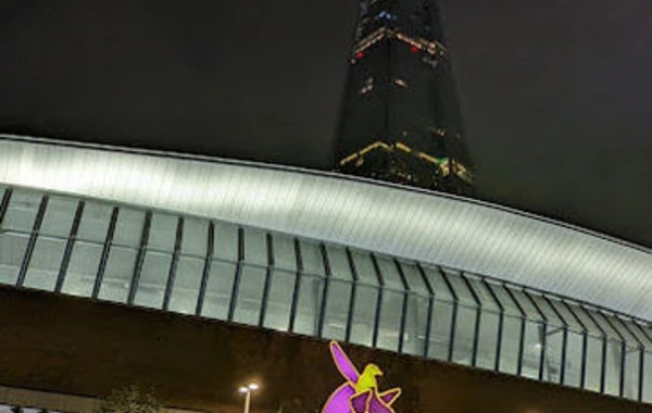 Londonda 6 bina Azərbaycan bayrağının rənglərinə boyandı - FOTO