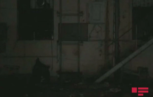 Sumqayıtda şadlıq sarayında gənc oğlan faciəvi şəkildə öldü - FOTO