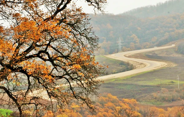Açılışı olan Zəfər yolunun yeni görüntüləri - FOTO