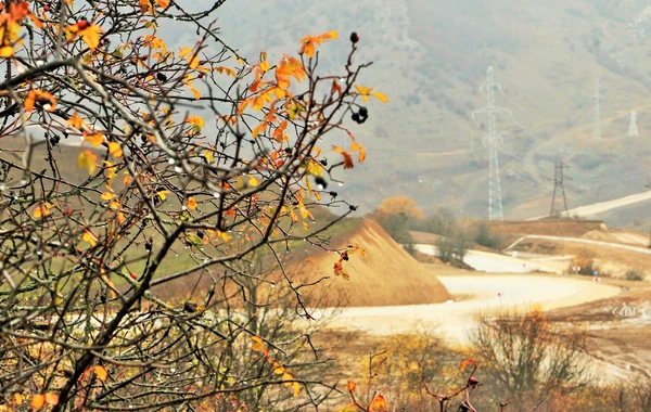 Açılışı olan Zəfər yolunun yeni görüntüləri - FOTO