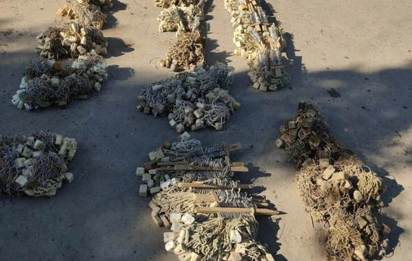 Qanunsuz nərə balığı ovu ilə məşğul olan 20 nəfər saxlanılıb - FOTO