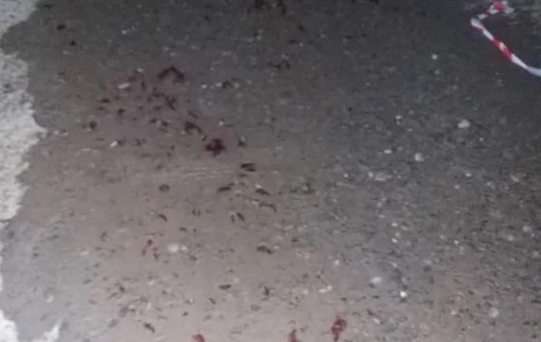 15 yaşlı məktəblini öldürən qonşusu imiş... - FOTO
