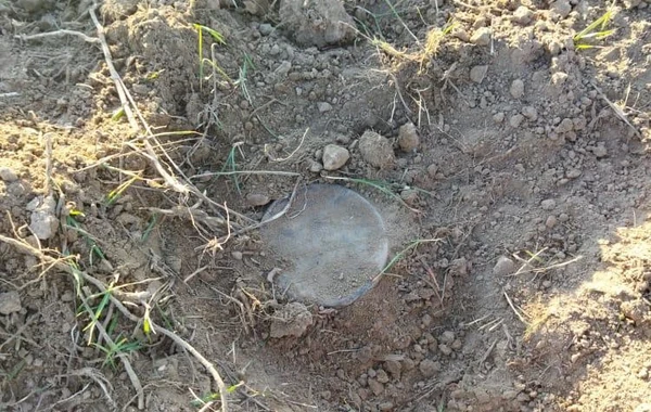 İran-Azərbaycan sərhədinin azad edilən hissəsinin 25 hektarı təmizlənib - FOTO