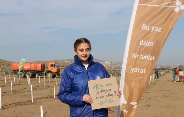 Bakıda “Yaşıl Marafon” aksiyası: İki mindən çox ağac əkildi - FOTO