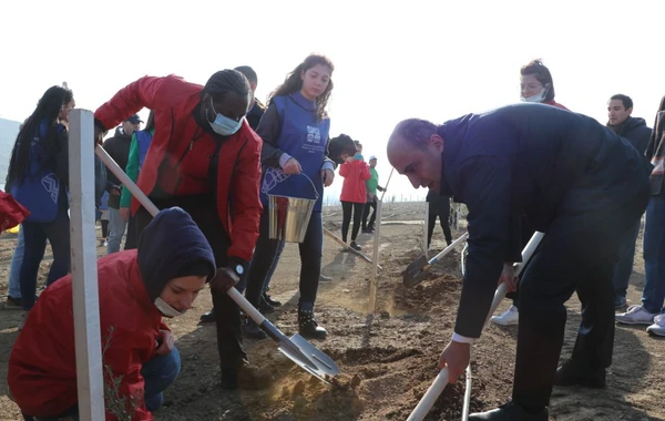Bakıda “Yaşıl Marafon” aksiyası: İki mindən çox ağac əkildi - FOTO