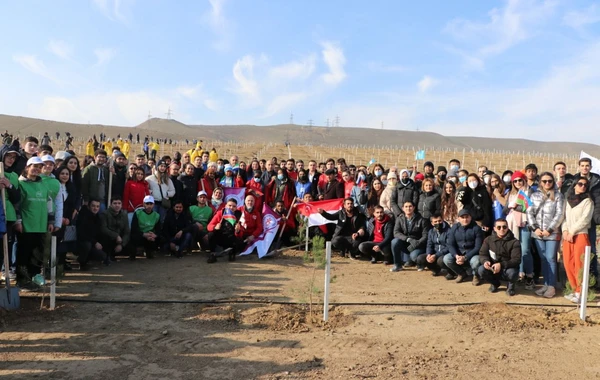 Bakıda “Yaşıl Marafon” aksiyası: İki mindən çox ağac əkildi - FOTO