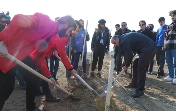 Bakıda “Yaşıl Marafon” aksiyası: İki mindən çox ağac əkildi - FOTO