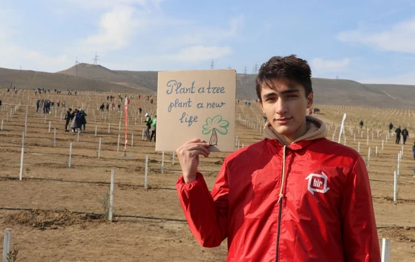 Bakıda “Yaşıl Marafon” aksiyası: İki mindən çox ağac əkildi - FOTO
