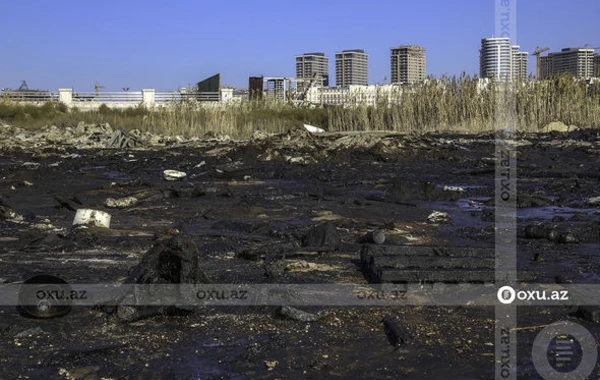 Каспийское море на грани экологической катастрофы - ФОТОРЕПОРТАЖ