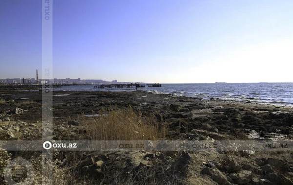 Каспийское море на грани экологической катастрофы - ФОТОРЕПОРТАЖ