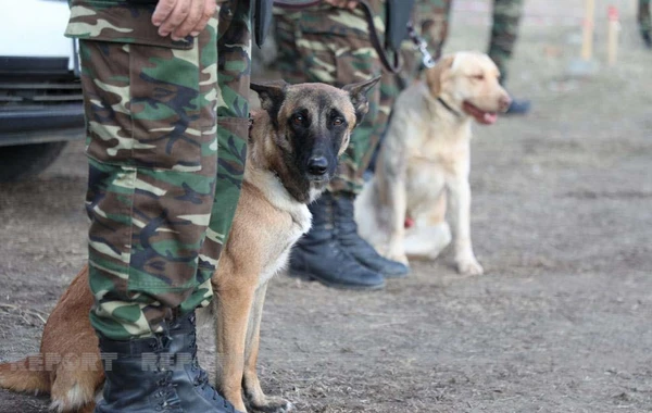 Xaçınçay su anbarı və ətrafı minalardan tam təmizlənib - FOTO