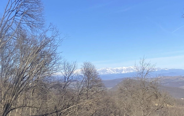 Əziz Səncər Şuşaya səfər edib - FOTO