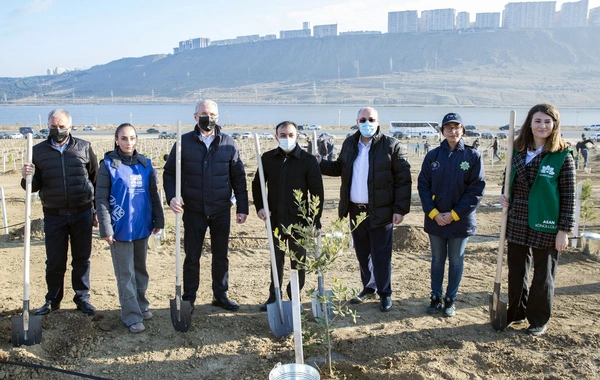 Növbəti dəfə "Yaşıl Marafon" genişmiqyaslı ağacəkmə tədbiri keçirilib - FOTO