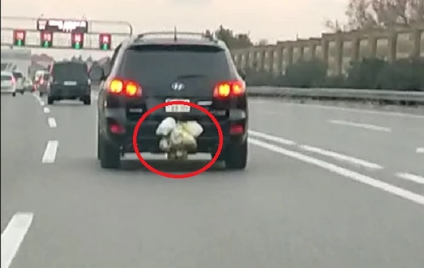 Bakıda zibili qeyri-adi üsulla tullamağa apardılar - Aeroport yolunda - VİDEO