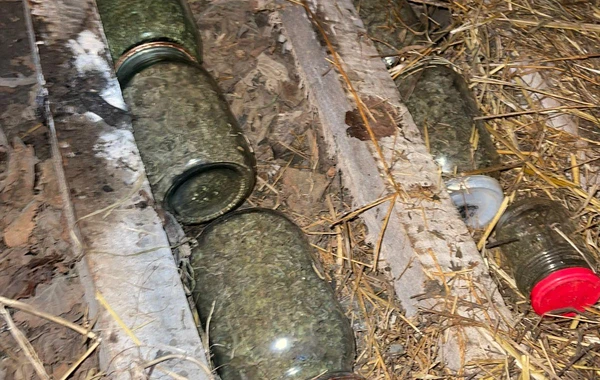Narkotiki it damında gizlədən şəxs saxlanılıb - FOTO