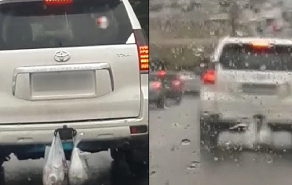 Bakıda daha bir sürücü zibili qeyri-adi üsulla tullamağa apardı - VİDEO
