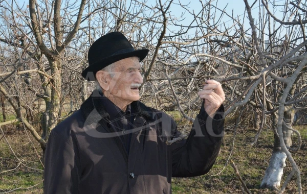 Yüz yaşlı Əmrah babanın uzunömürlülüyünün sirri - FOTO