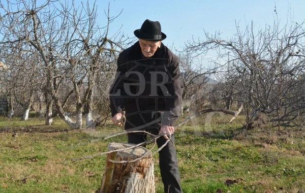 Yüz yaşlı Əmrah babanın uzunömürlülüyünün sirri - FOTO