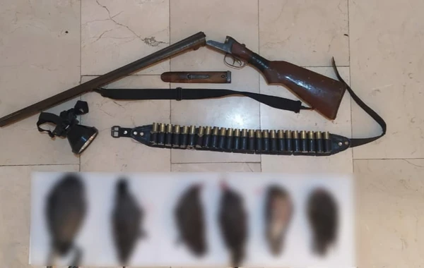 Masallıda qanunsuz ov edən şəxs saxlanılıb