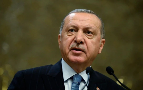 Украина поддержала идею Эрдогана
