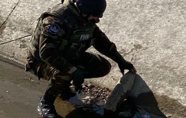 В Самур-Абшеронском канале обнаружены танковые и минометные снаряды - ВИДЕО