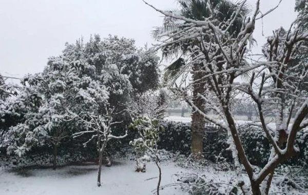 Antalyaya 29 ildən sonra qar yağdı - FOTO
