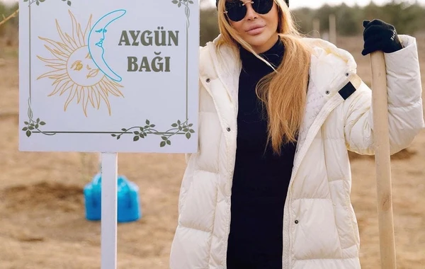 Aygün Kazımovanın adına bağ saldılar - FOTO