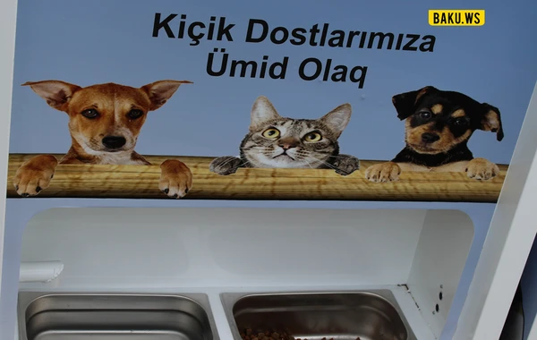Bakıda hər kəsin diqqətini cəlb edən bu köşklər niyə quraşdırılıb? - FOTO/VİDEO