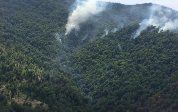 İlisu qoruğunda söndürülən yanğın yenidən alovlanıb