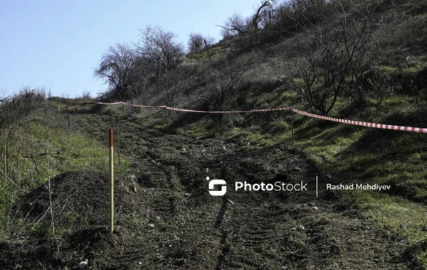 В Физули обнаружено массовое захоронение - ФОТО