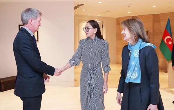Mehriban Əliyeva Böyük Britaniya baş nazirinin Azərbaycan üzrə ticarət elçisi ilə görüşdü - FOTO