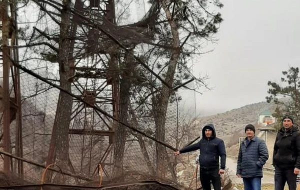 Dövlət müəssisəsindən 37 min manatlıq oğurluq etmək istəyən dəstə ƏLƏ KEÇDİ - FOTO