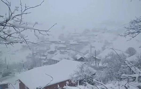 Из-за сильного снегопада в Азербайджане закрыта дорога, села остались без света - ФОТО