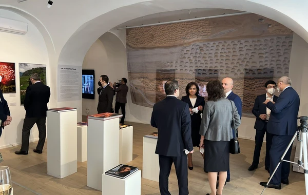 Azərbaycan Prezidentinin xüsusi nümayəndəsi Vyanaya gedib - FOTO