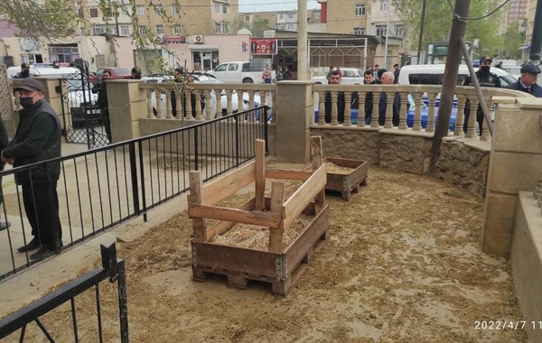 Bakıda qanunsuz heyvan kəsimi məntəqələri aşkarlanıb - FOTO