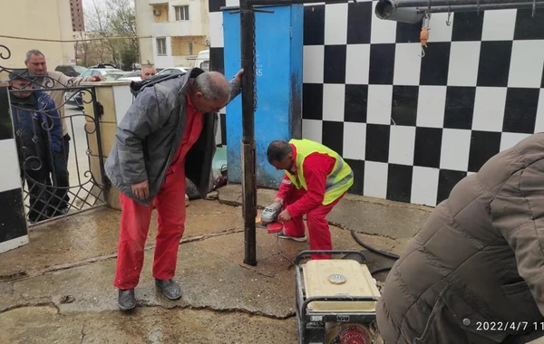 Bakıda qanunsuz heyvan kəsimi məntəqələri aşkarlanıb - FOTO