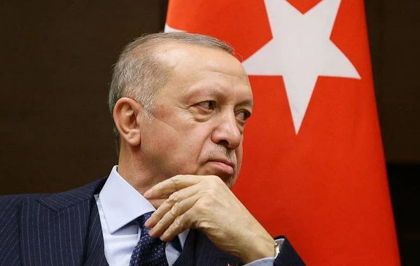 Ərdoğan Moskvaya səfərə hazırlaşan Avstriya kansleri ilə danışdı