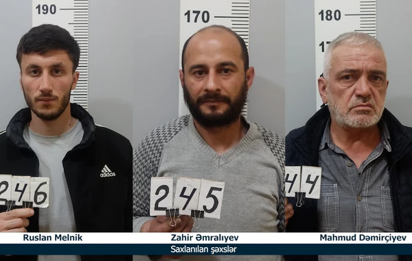 Bakıda 7 evdən oğurluq edilib - VİDEO