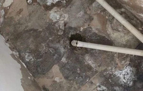 Bakının ən böyük xəstəxanalarından biri xəstəlik yuvasına dönüb - FOTO
