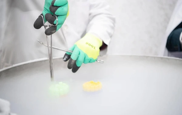 Qarabağ atlarının biomaterial bankı yaradılıb - FOTO