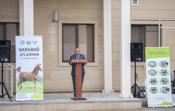 Qarabağ atlarının biomaterial bankı yaradılıb - FOTO