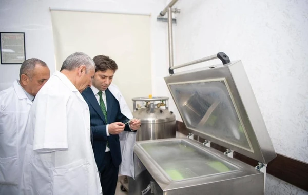 Qarabağ atlarının biomaterial bankı yaradılıb - FOTO