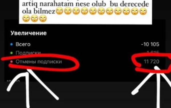 Bu azərbaycanlı məşhurlar instaqram izləyicilərini itirirlər - FOTO