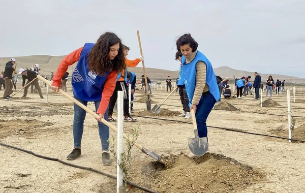 "Yer Günü 2022” münasibətilə kütləvi ağacəkmə aksiyası keçirilib - FOTO